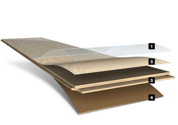 exploded_laminate exploded_laminate